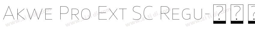 Akwe Pro Ext SC Regu字体转换